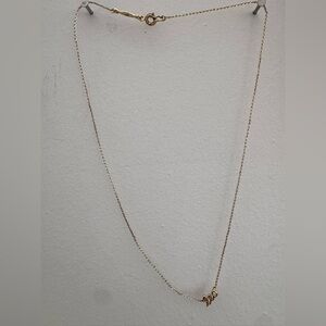 Delicate Gold Leo Necklace with Script Pendant